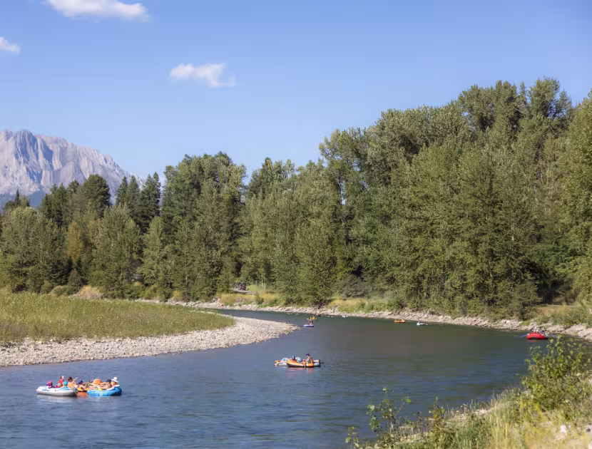 Floaters on the Elk River with trees and mountains in the background.