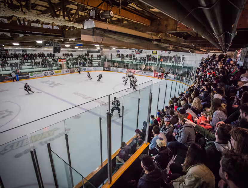 Ice hockey game in progress with spectators.