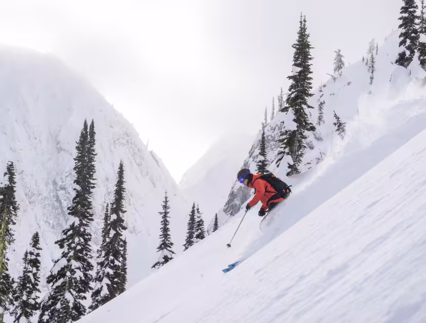 Skier in red jacket skiing down snowy mountain slope with trees.