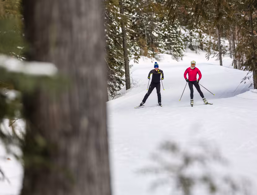 Two skiers skiing through snowy forest, one wearing blue, the other pink.