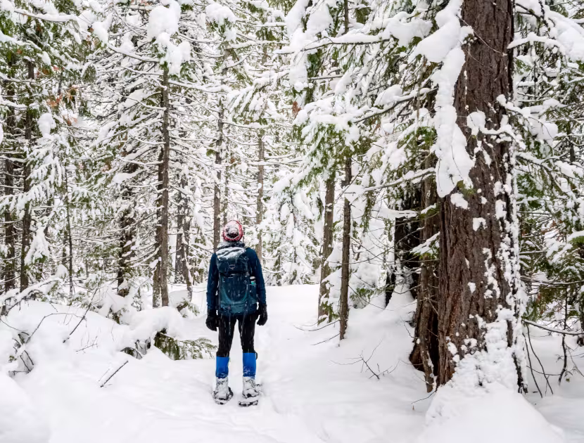 Person skiing down snowy forest path, surrounded by snow-covered trees; wearing blue jacket and black pants.