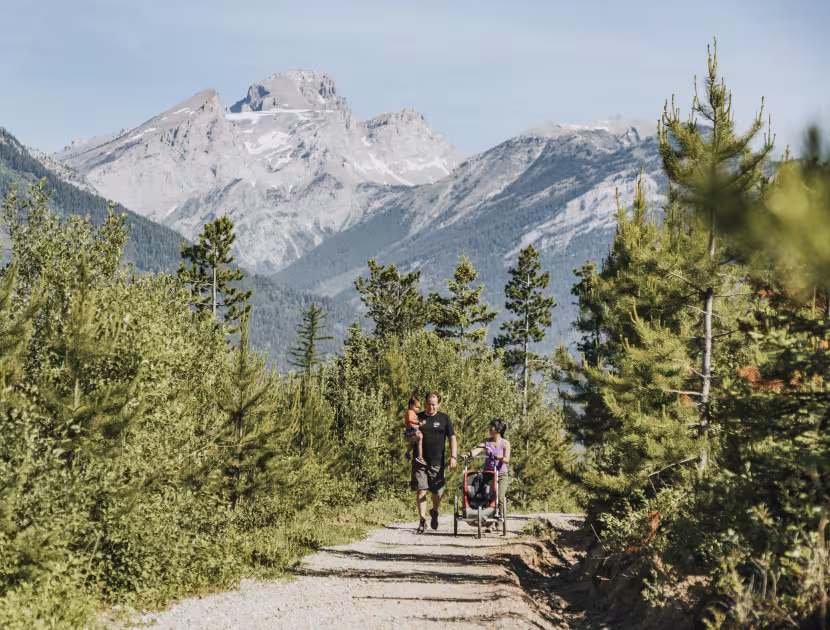 Man and child on bikes on a path with trees and mountains.