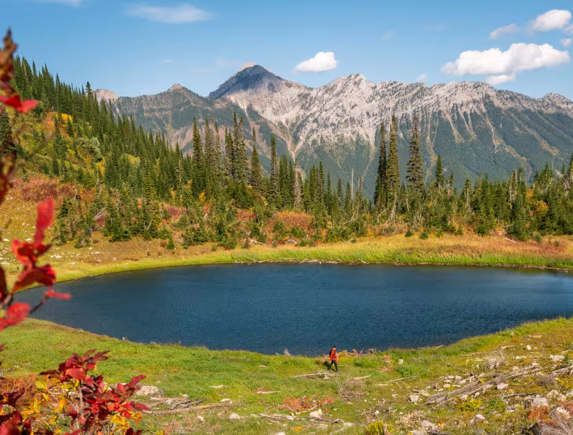 Serene lake surrounded by trees and mountains on a sunny day.