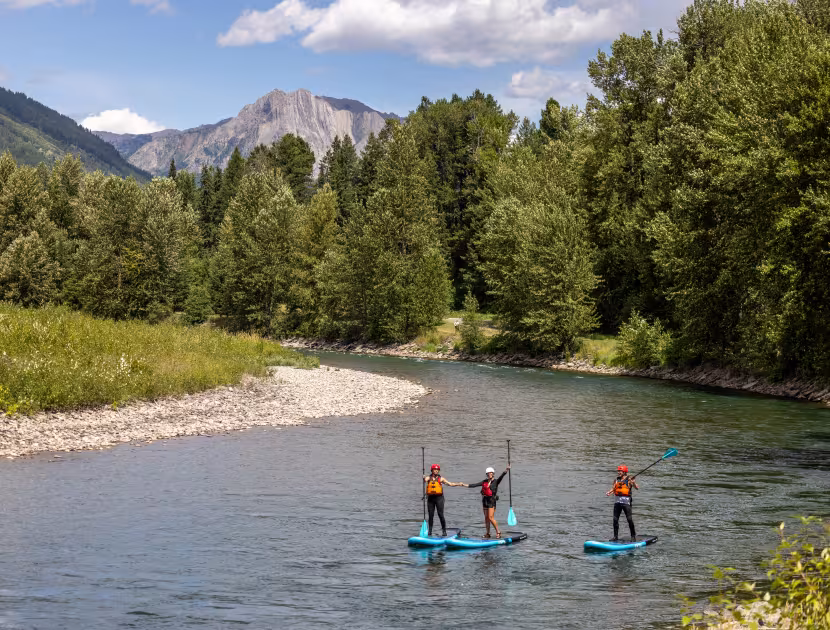 Three people paddleboarding on a river with mountains and trees in the background.