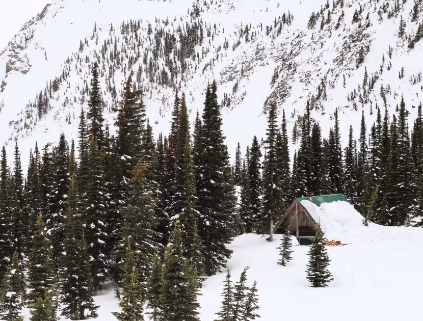Snowy mountain landscape with evergreen trees and a small cabin.