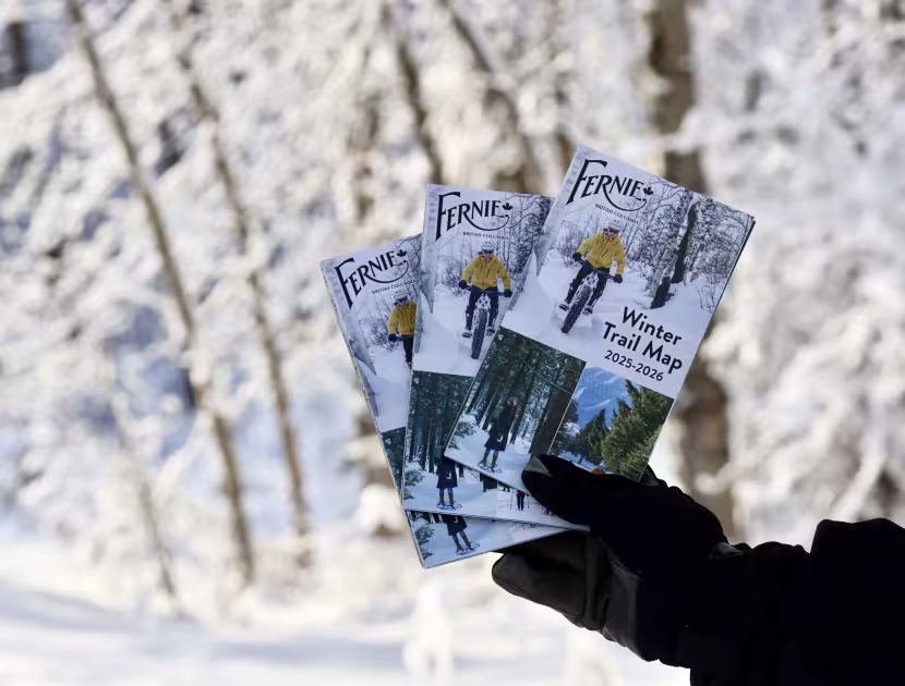 Hand holding three trail map brochures with a snowy forest background.