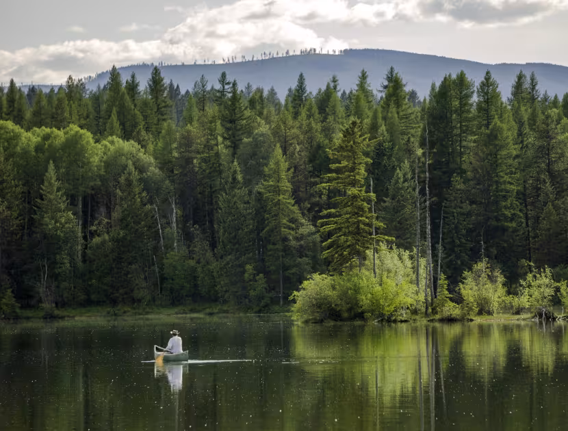 A person kayaking on a serene lake surrounded by dense evergreen forest and majestic mountains.