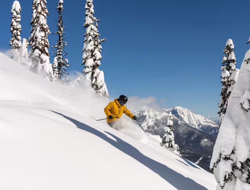 Person skiing down snowy slope, wearing yellow jacket, surrounded by trees and mountains.