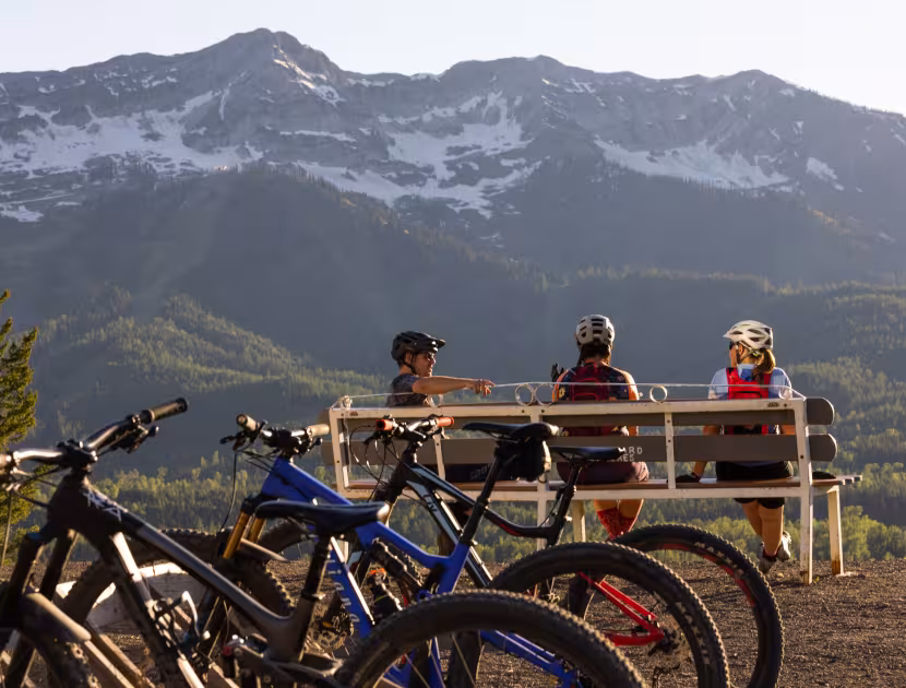 Mountain bikers taking a break with bikes, looking at snowy mountain range.
