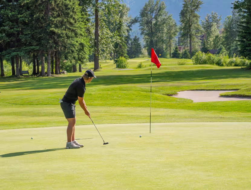 Golfer on a green, putting with mountains and trees in background.