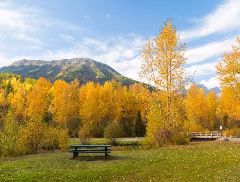 A  photo of a city park with picnic table and a wooden bridge, and fall foliage and mountains in the background.