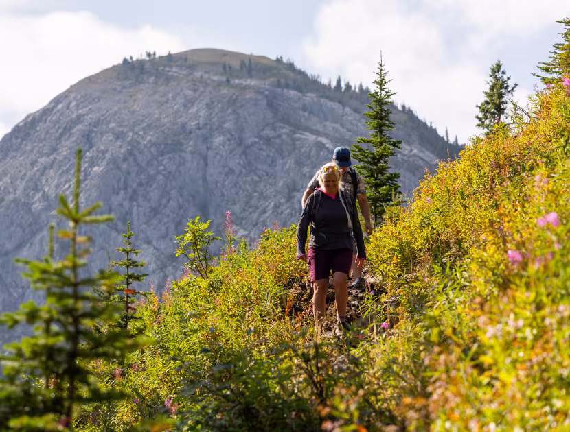 Two people hiking on mountain trail in the alpine surrounded by greenery and pink flowers.