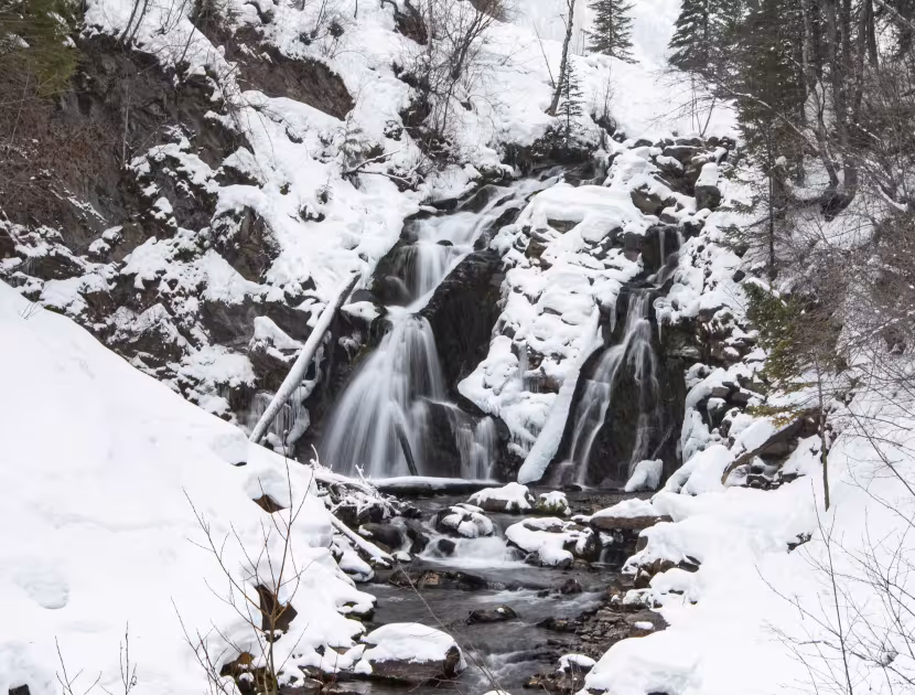 Snow-covered waterfall cascading down rocky slope, surrounded by trees and frozen underbrush.