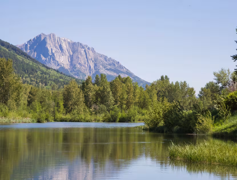Serene pond in the Annex Park surrounded by lush greenery and trees, with a majestic mountain in the background under a clear blue sky.
