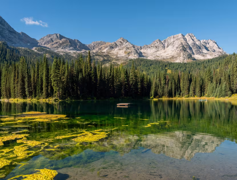 Serene lake at Island Lake Lodge with yellow lily pads, surrounded by evergreen trees and majestic mountains under a clear blue sky.