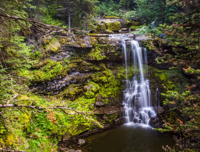Serene Matheson Falls waterfall cascading down mossy rocks in a lush forest.