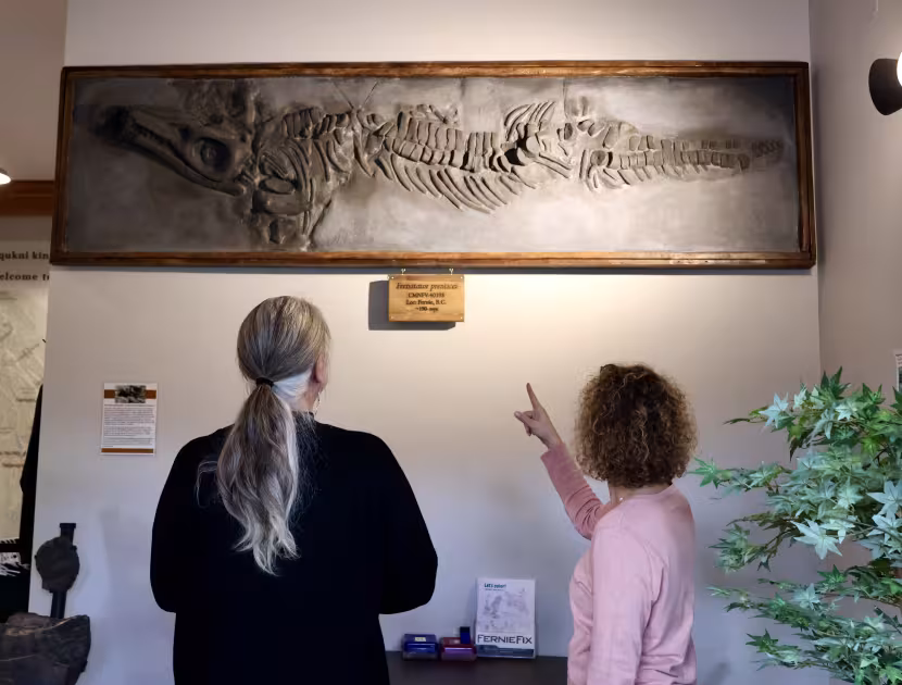 Two women looking up at a framed ichthyosaur fossil of the Fernatator Prenticei on a wall.