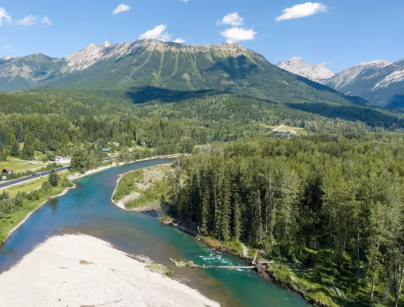Aerial view of a winding river through a forested valley with a mountain range in the background.