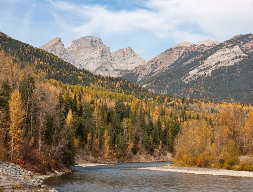 Three Sisters mountain in Fernie with autumn trees and river in foreground.