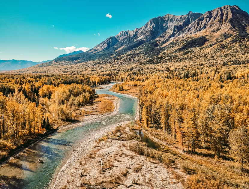 Winding Elk river through yellow trees and mountains.