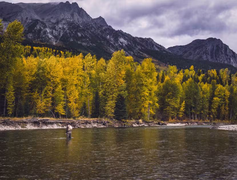 A serene river surrounded by trees with yellow leaves and mountains in the background under a cloudy sky.