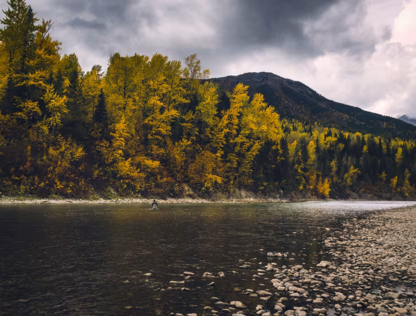 River flowing through a forest with yellow trees and a mountain range in the background under a cloudy sky.