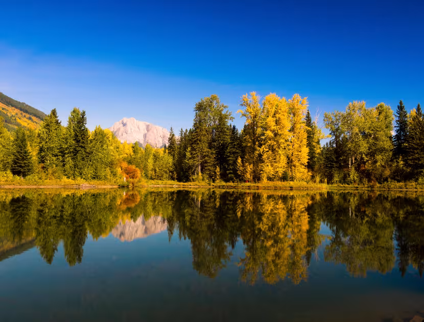 Serene lake reflecting trees and mountains on a clear day.