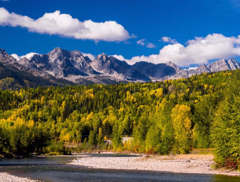 Mountain range with trees and a gravel path under a blue sky.