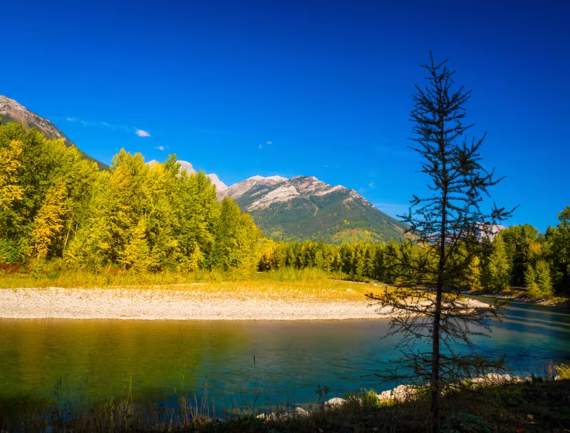 Serene Elk River with tree-lined shore.