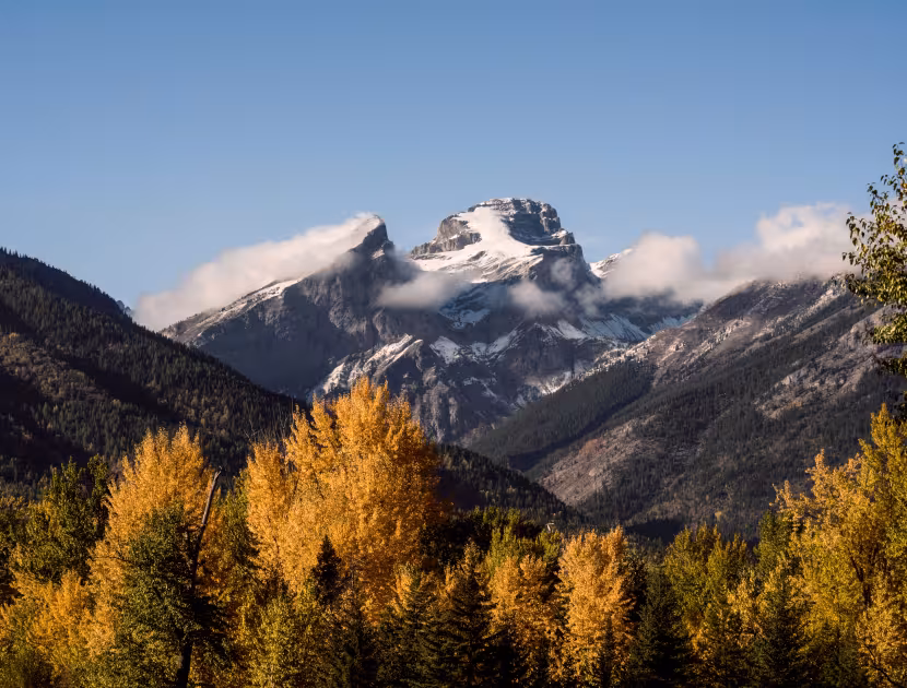 Snow-capped mountain peaks behind trees with yellow and green leaves.