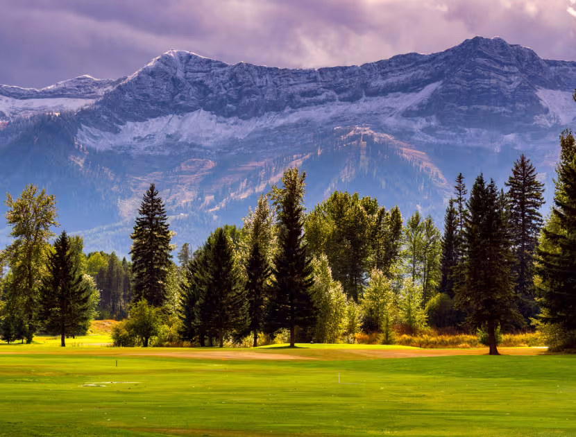 Snowy mountains behind a golf course with trees.