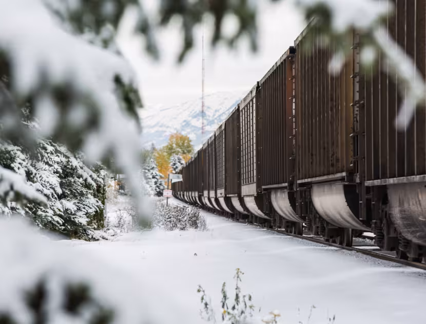 Freight train crossing a snowy landscape, framed by snow-covered branches.
