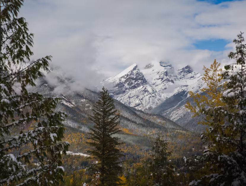 Snow-capped mountain range framed by evergreen trees under a cloudy sky