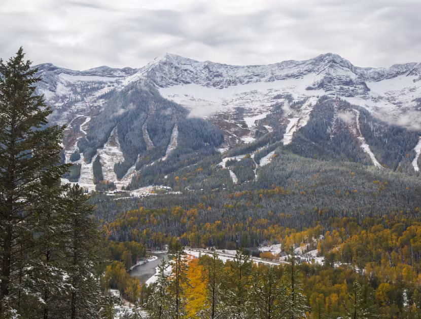 Snow-capped mountain range above an autumn forest, framed by evergreen trees.