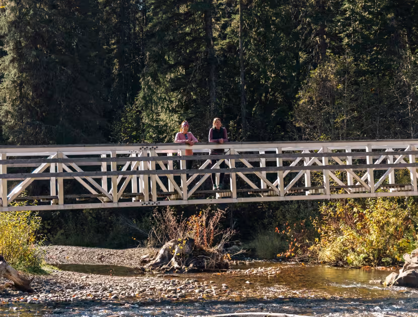 Two people walk across a metal truss bridge over a rocky stream at the Mount Fernie Provincial Park.