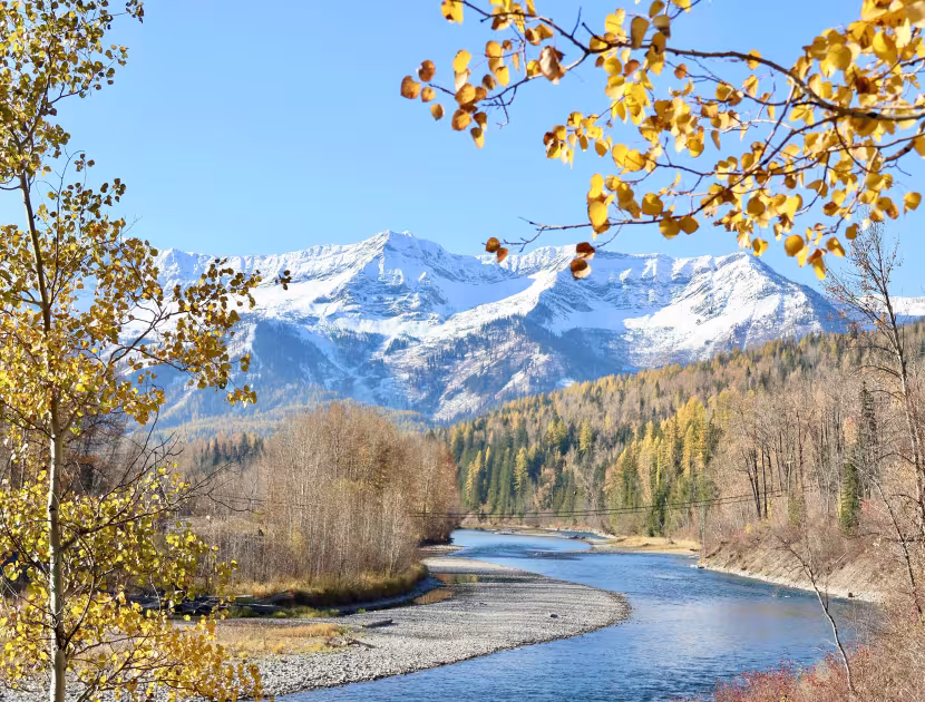 Autumn trees frame a winding Elk River beneath snow-capped mountains.