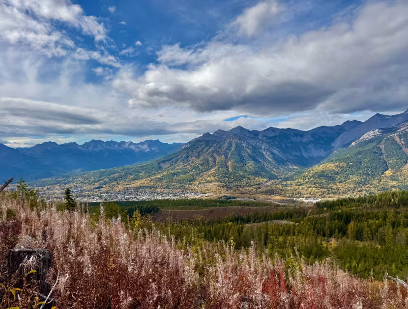 Mountain valley with autumn grasses, forest, and dramatic cloudy sky