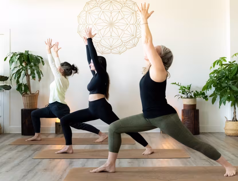 Three women in yoga poses on mats in a studio with plants.