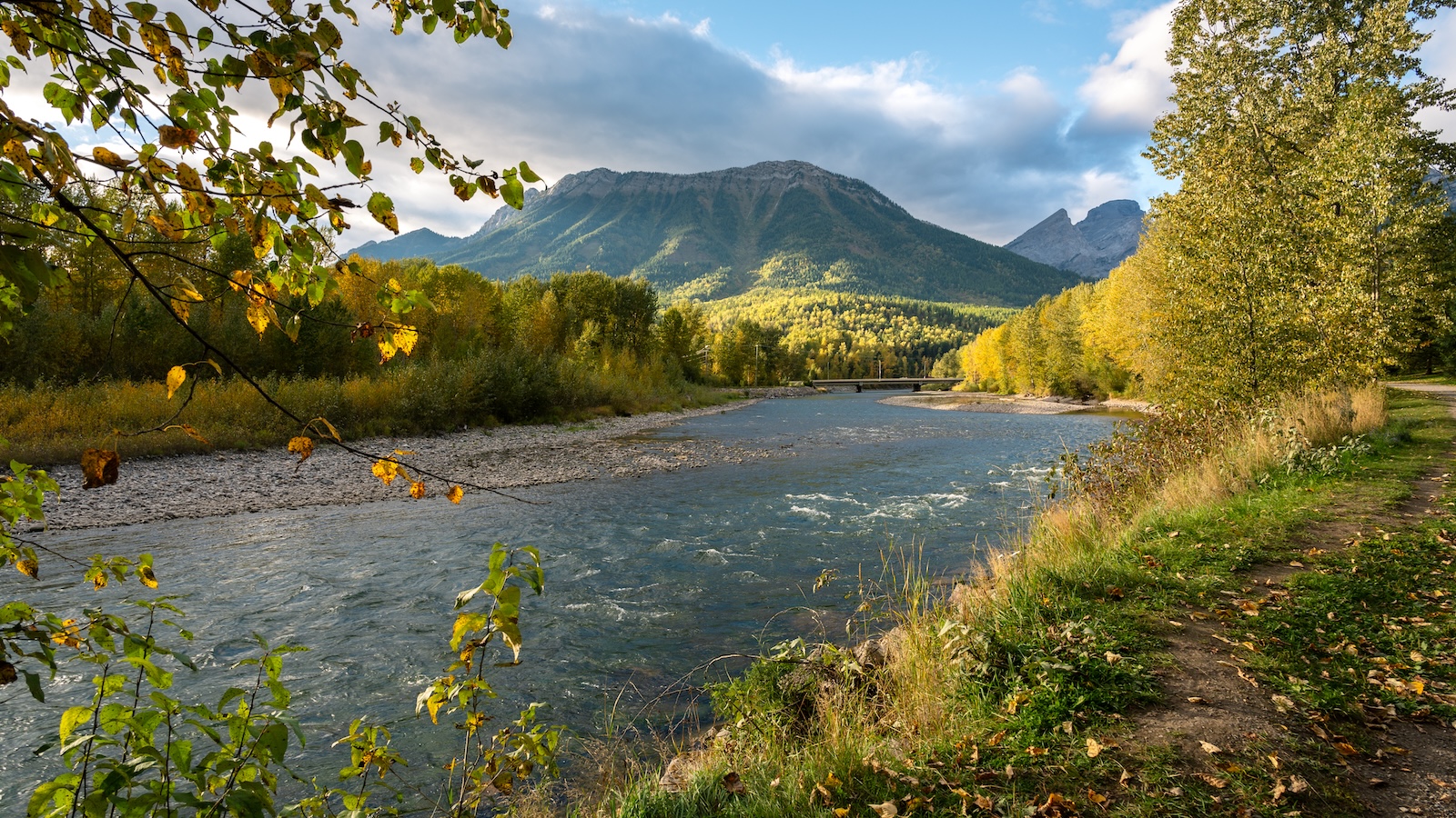 Fernie Artist Spotlight: Amy Buchan, Happy Spoke