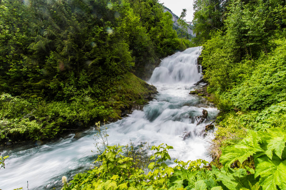 Fairy Creek Falls in Fernie is a popular hike
