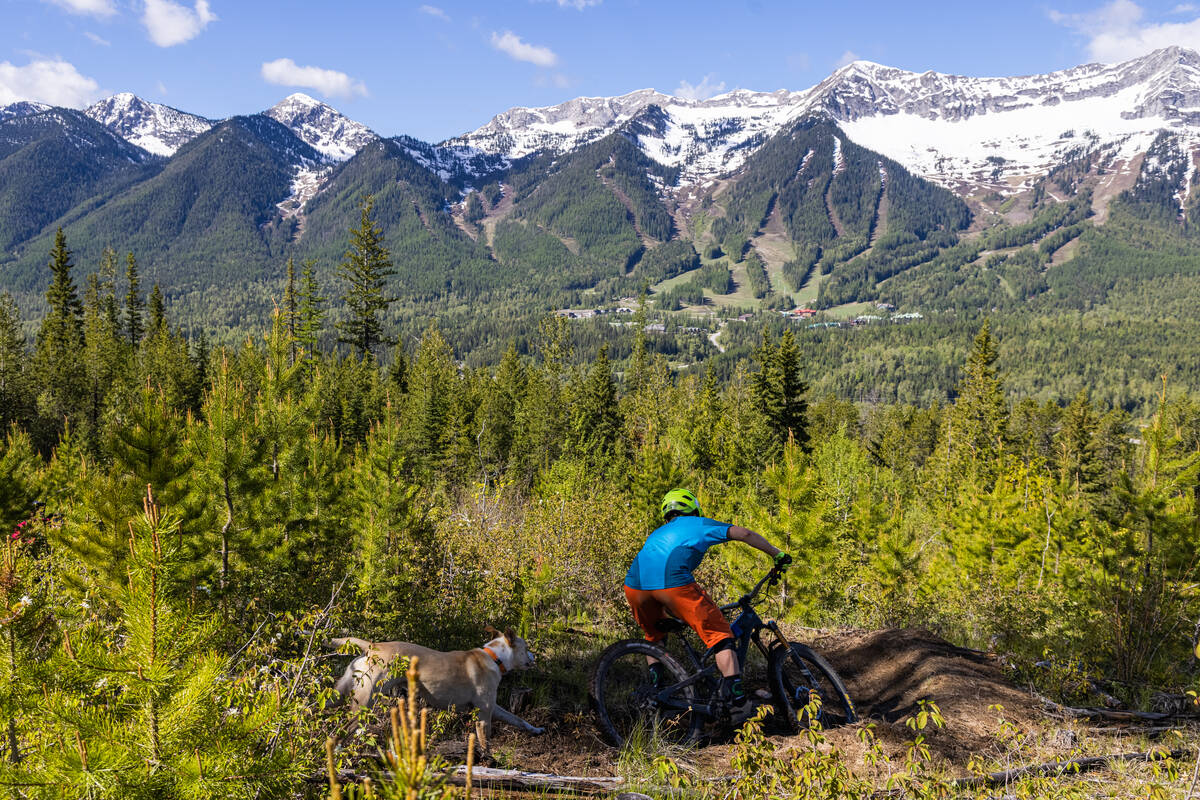 Mountain biking in Fernie is prime this spring