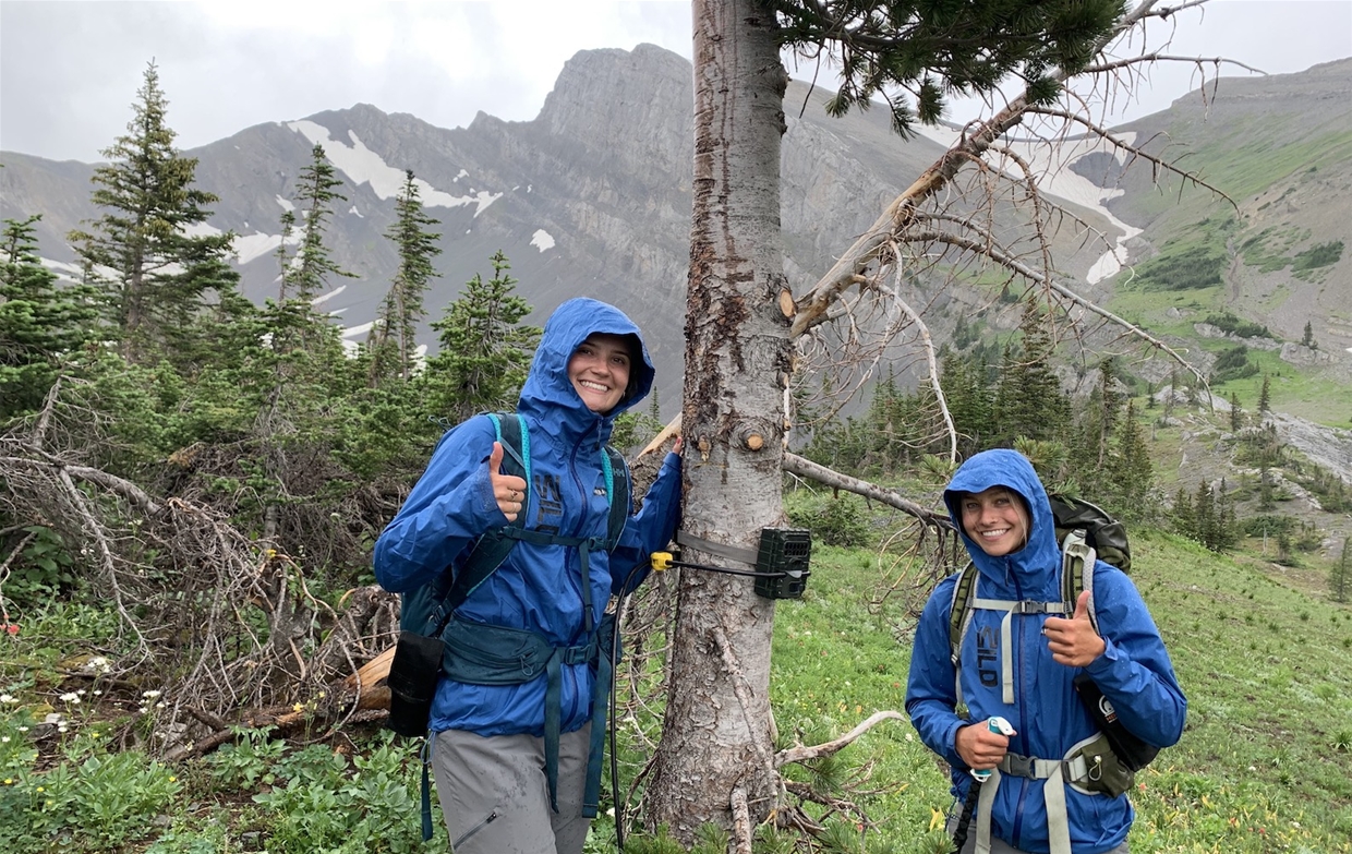 AmbassadorWILD Team installing wildlife cameras on Heiko's Trail