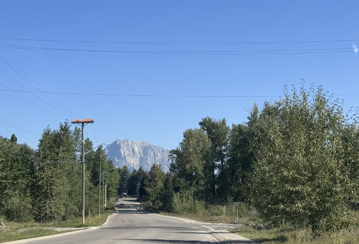 Mt Hosmer from Dicken Road, looking Northeast. 11am, Monday, August 25th, 2025.