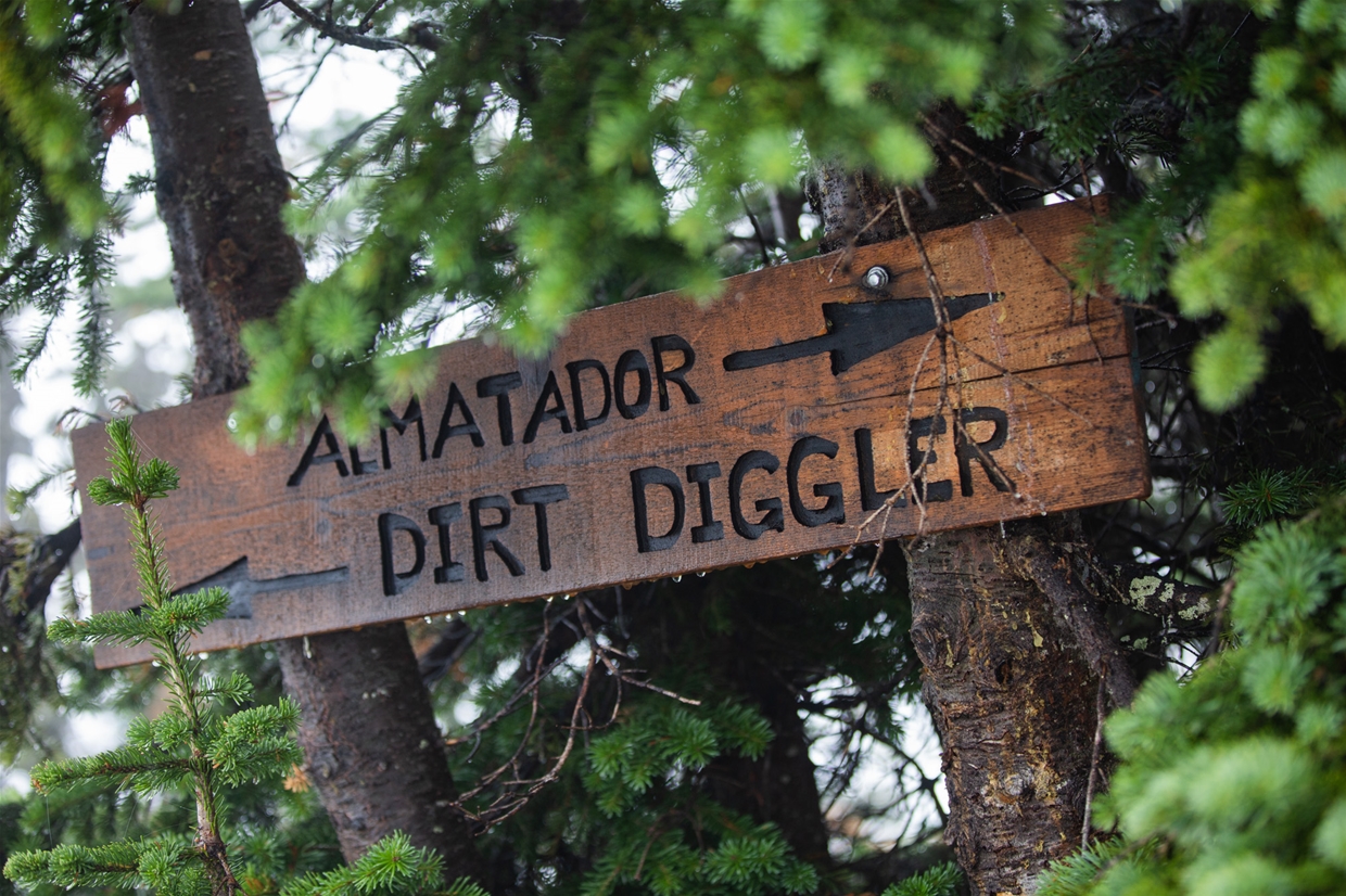 Dirt Diggler is a proline downhill MTB trail on Morrissey Ridge