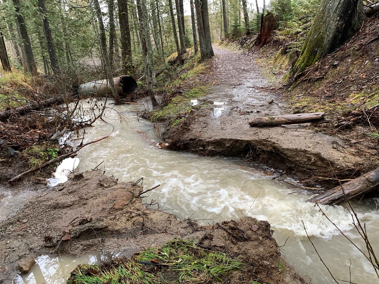 Heavy rains impact trails - Inclusive/Easy Beaver Trail in Montane