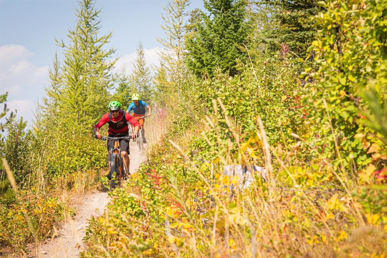 Singletrack trails make up the way of the Elk Valley Trail between Fernie and Sparwood