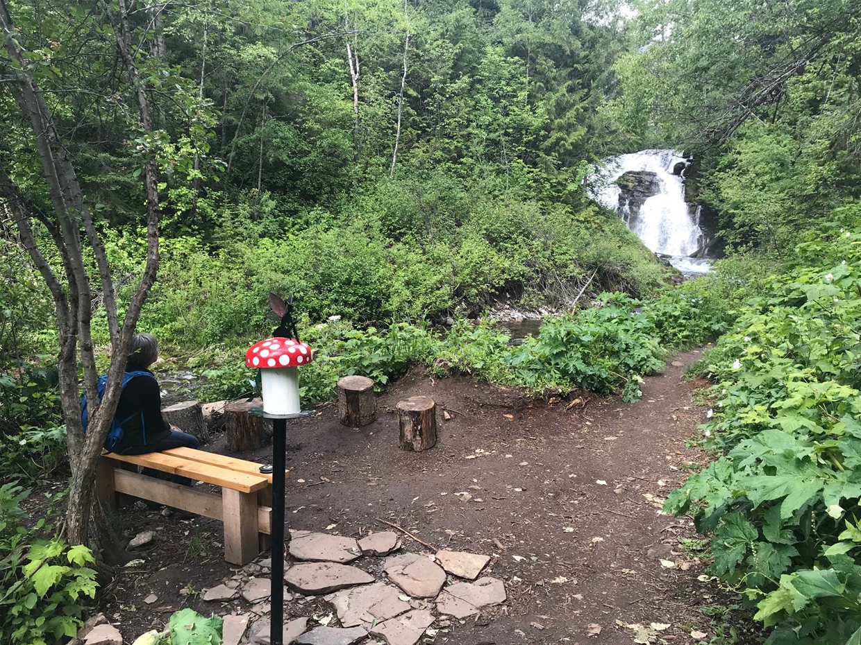 Bench at Fairy Creek Falls