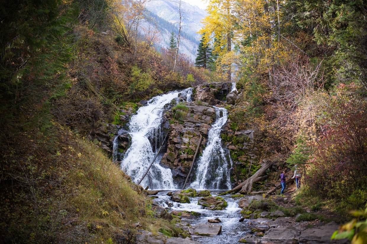 Fairy Creek Falls - Great Family Hikes