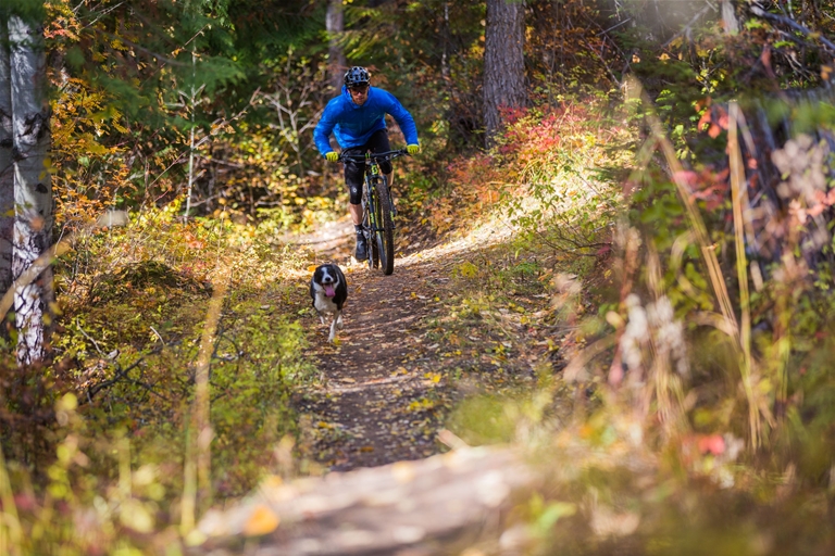 Get out riding with your fur friends!