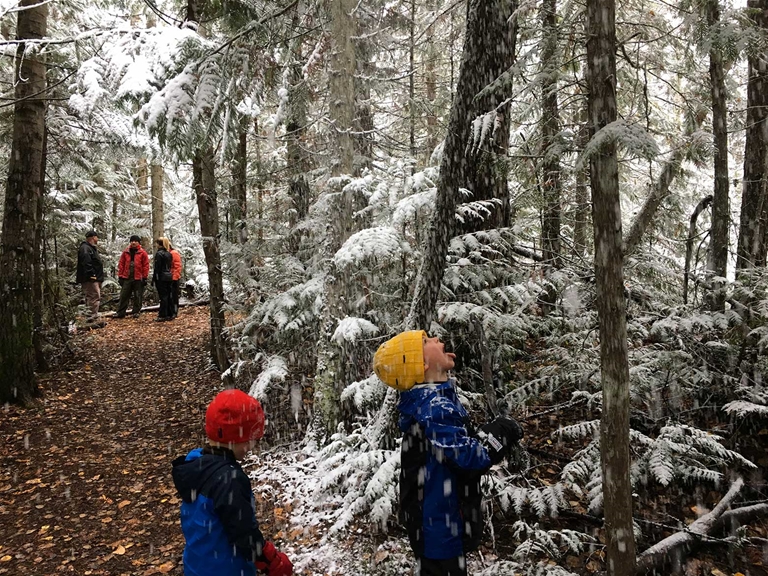 Trails at Mt Fernie Provincial Park - Fall Season